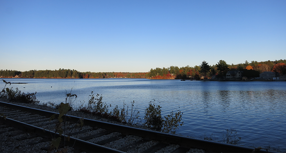 Three ponds with the train tracks in the foreground and tree line with foliage in the background