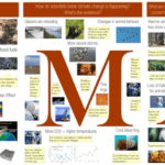 Climate in the Classroom posters made by the school children in the program