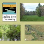 Stitch of Southeast Land Trust and Strafford Rivers Conservancy logos and conservation properties