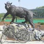 The UNH Wildcat statue in front of the Whittemore Arena with a helmet and bikes in front