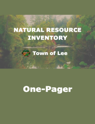 nri_lee_onepager_thumbnail