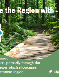 cover of the pop! postcard with a picture of a trail bridge surrounded by greenery